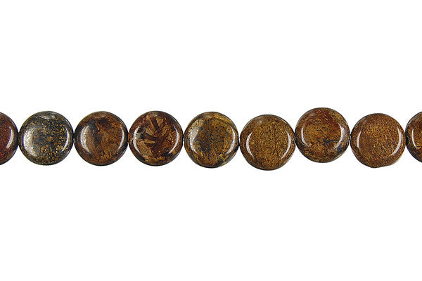 Bronzite Coin Beads