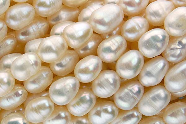White (FWP) Rice, 7-9mm
