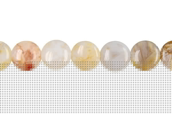 Bamboo Leaf Agate Coin Beads