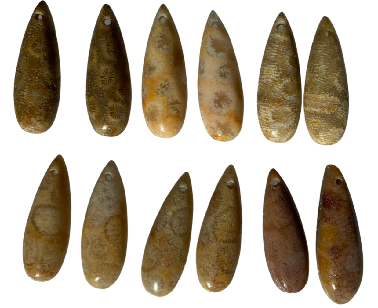 Fossil Coral Teardrop Pendant 8x22mm/Piece