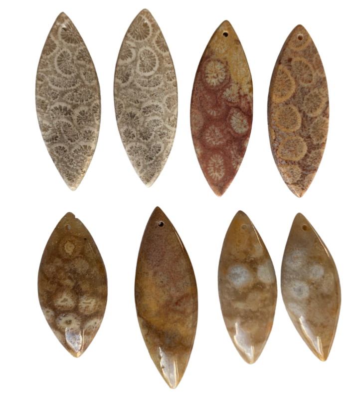 Fossil Coral Marquise