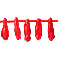 Coral Pomegranate Beads, 16-Inch Strand, Beads for Jewelry Making