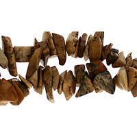 Picture Jasper Chips Beads, 36-Inch Strand, Beads for Jewelry Making